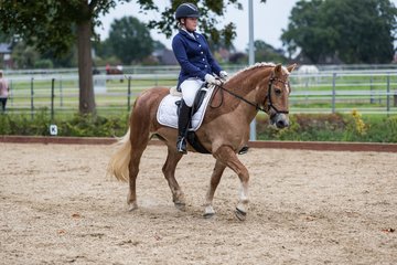 Bild 582 - Fuchshof Turnier